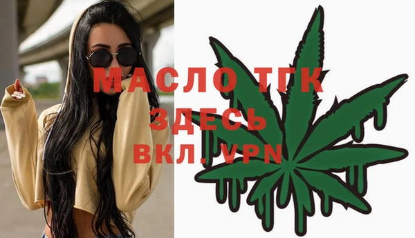 крисы Верхний Тагил