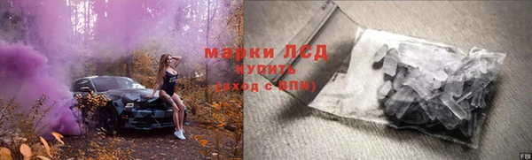 прущие грибы Верхнеуральск