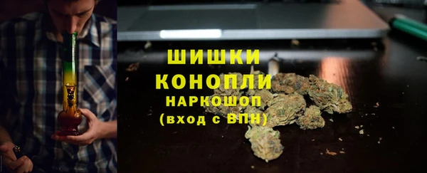 прущие грибы Верхнеуральск