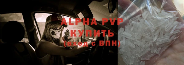 крисы Верхний Тагил