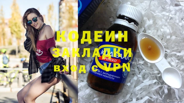 крисы Верхний Тагил