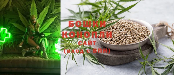 крисы Верхний Тагил