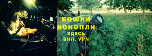 крисы Верхний Тагил