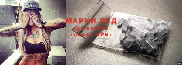 прущие грибы Верхнеуральск